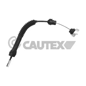 038409 CAUTEX