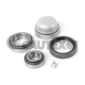 27311 CAUTEX