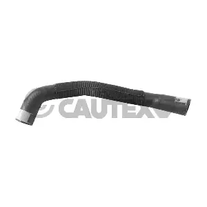 770938 CAUTEX