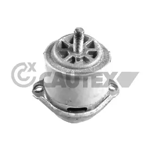 772206 CAUTEX