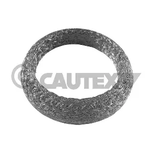 954198 CAUTEX