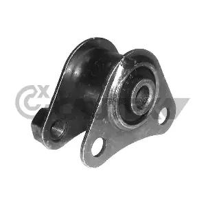 010907 CAUTEX