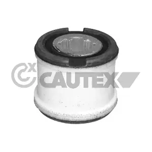 081107 CAUTEX