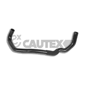 026599 CAUTEX