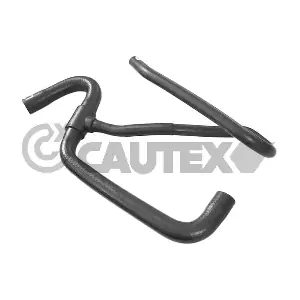 753633 CAUTEX
