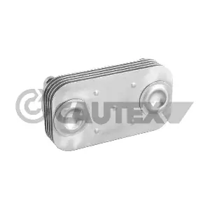 770229 CAUTEX