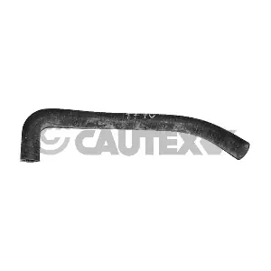 CAUTEX 036162