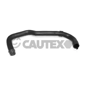 036409 CAUTEX