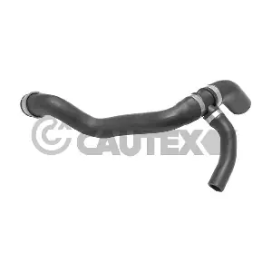 754309 CAUTEX