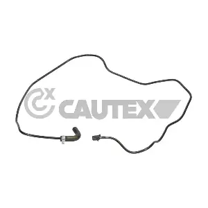 777562 CAUTEX