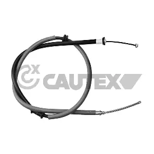 019047 CAUTEX