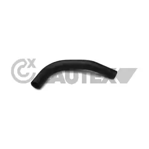 216001 CAUTEX