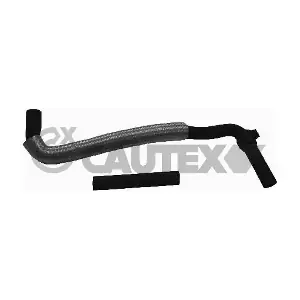 751872 CAUTEX