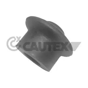 460162 CAUTEX