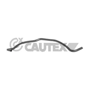 086187 CAUTEX