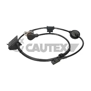 769384 CAUTEX