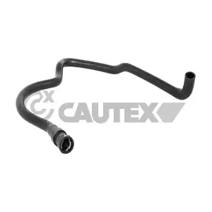 754412 CAUTEX
