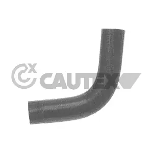 036111 CAUTEX