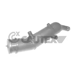 751135 CAUTEX