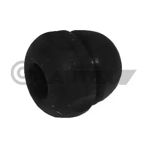 021181 CAUTEX