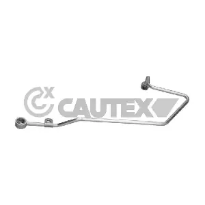 776061 CAUTEX