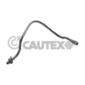 774971 CAUTEX