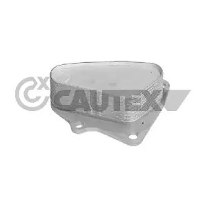 775214 CAUTEX
