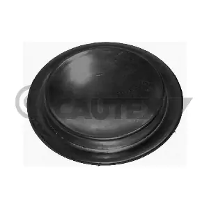 CAUTEX 011065