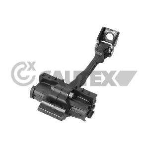 774390 CAUTEX