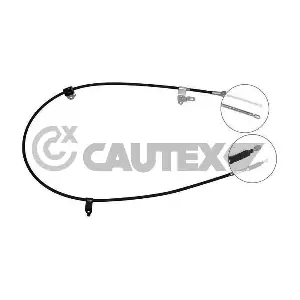 762813 CAUTEX