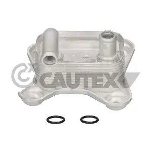 081268 CAUTEX