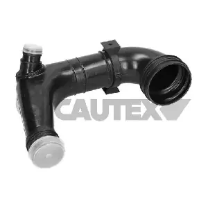 CAUTEX 011408