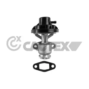 772077 CAUTEX