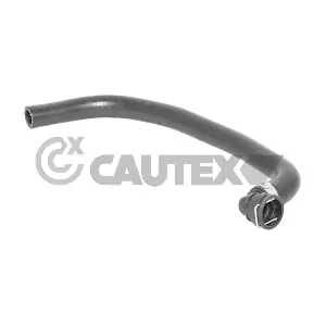 026807 CAUTEX