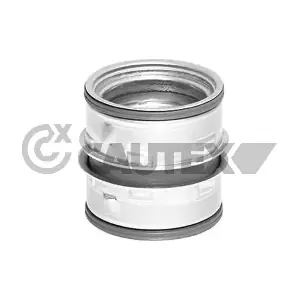 466806 CAUTEX