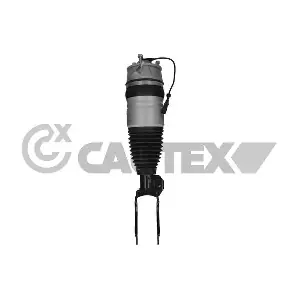 752046 CAUTEX
