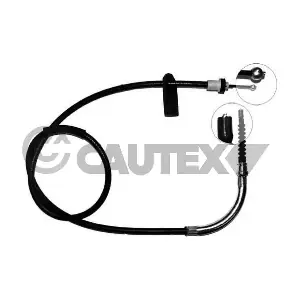 208031 CAUTEX