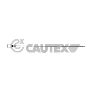 031654 CAUTEX