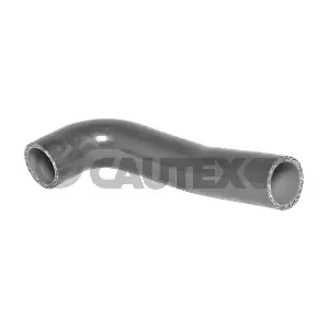 754548 CAUTEX
