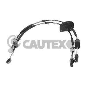 772609 CAUTEX