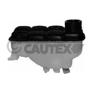 954246 CAUTEX
