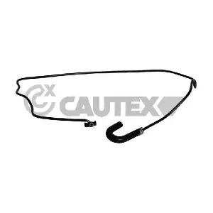 773582 CAUTEX