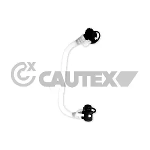 771209 CAUTEX