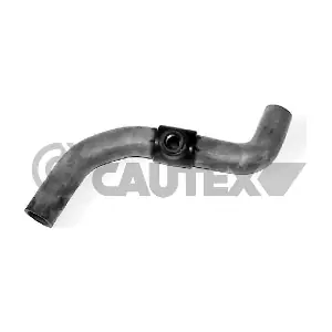 086011 CAUTEX