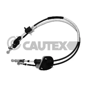 772572 CAUTEX