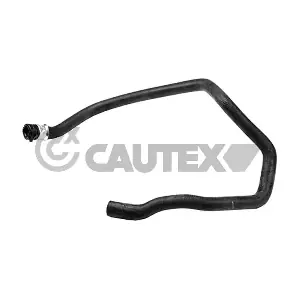031353 CAUTEX