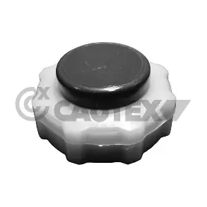 CAUTEX 950479