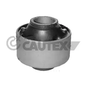 770925 CAUTEX