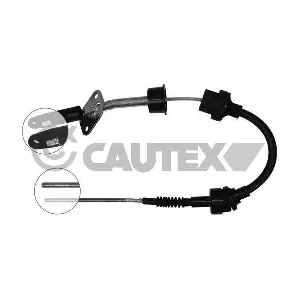 81124 CAUTEX