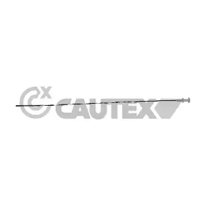 031398 CAUTEX
